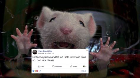 stupid little fucking rat|This community obsessed with hating Stuart Little is the.